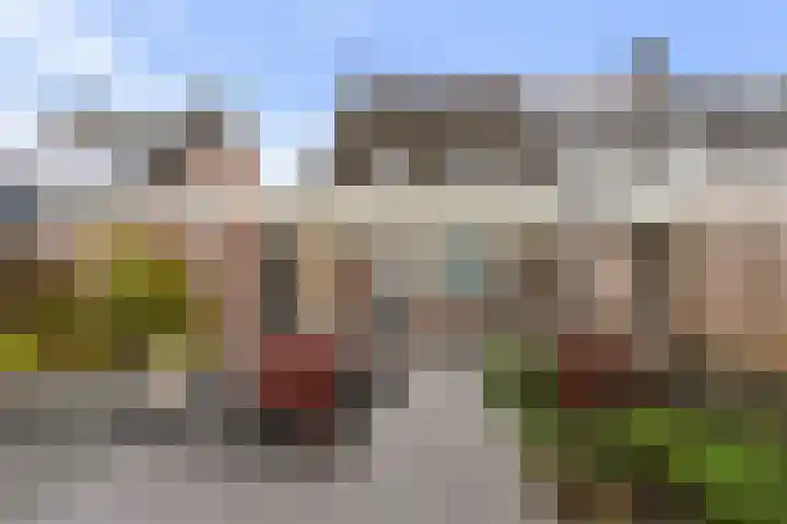 Kamille 10 Udenhout thumbnail 43