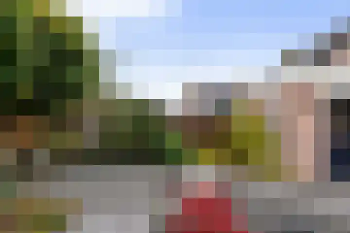 Kamille 10 Udenhout thumbnail 44