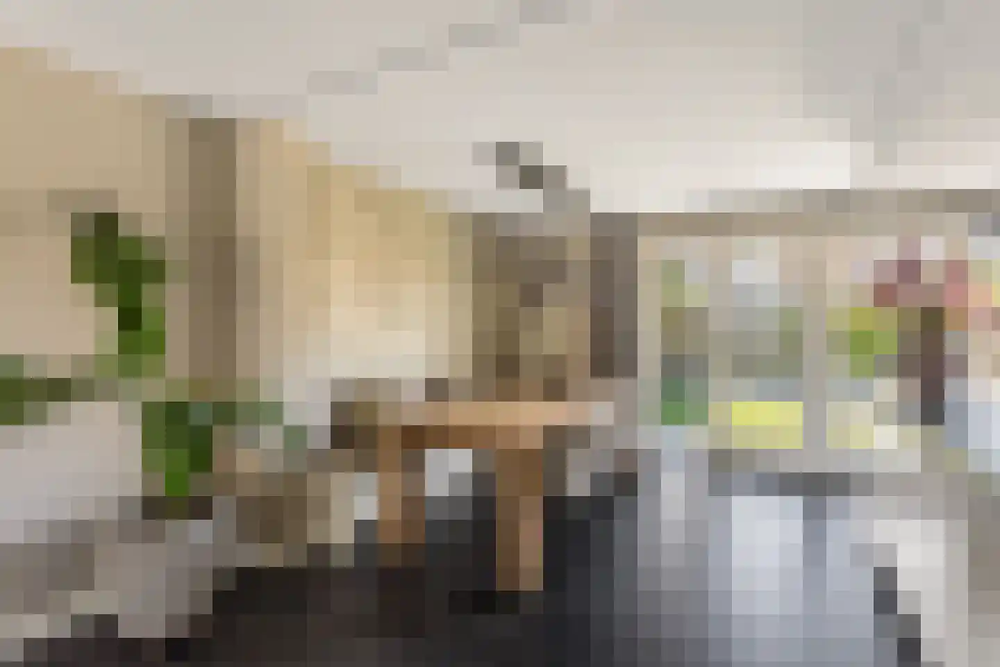 Kamille 109 Oldenzaal thumbnail 11