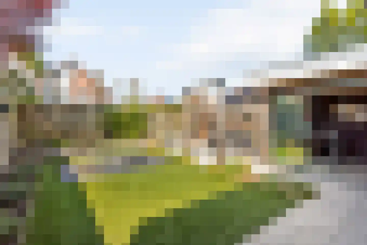 Kamille 109 Oldenzaal thumbnail 19