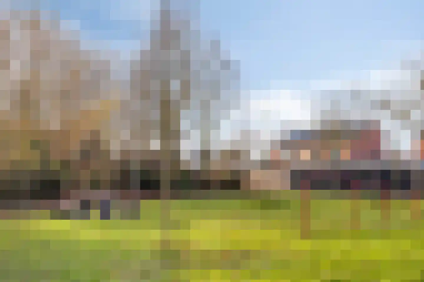 Kamille 11 Haaksbergen thumbnail 42