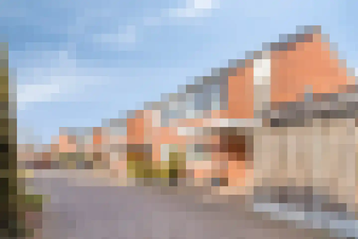 Kamille 11 Haaksbergen thumbnail 6