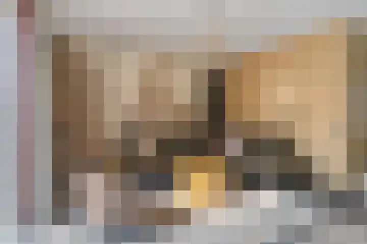 Kamille 12 Boxmeer thumbnail 11