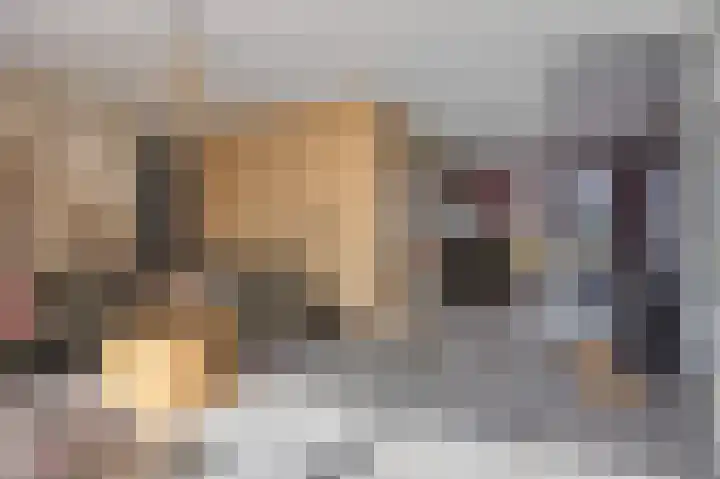 Kamille 12 Boxmeer thumbnail 12