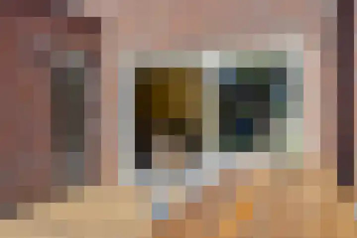 Kamille 12 Boxmeer thumbnail 31