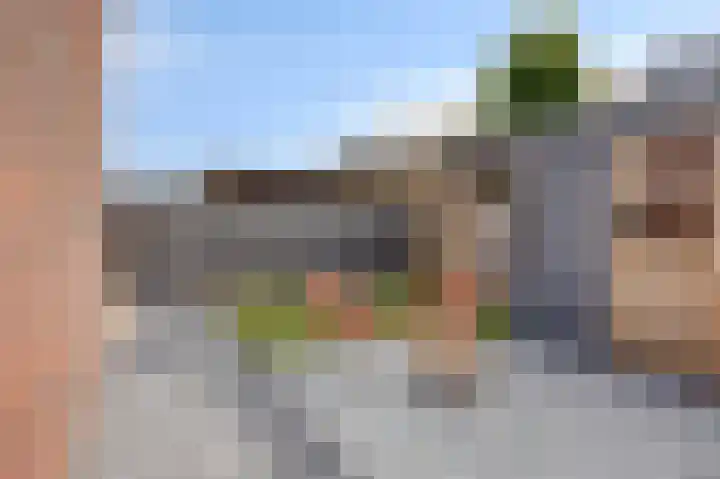 Kamille 12 Boxmeer thumbnail 34
