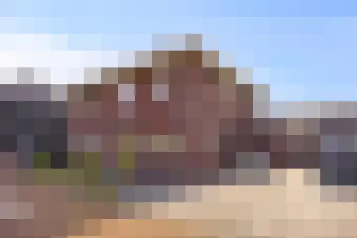 Kamille 12 Boxmeer thumbnail 36