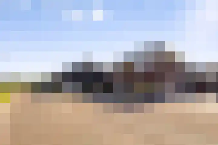 Kamille 12 Boxmeer thumbnail 37