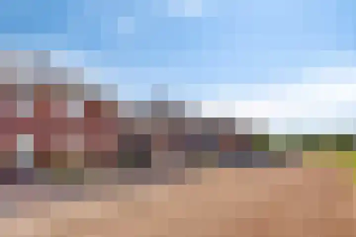 Kamille 12 Boxmeer thumbnail 38