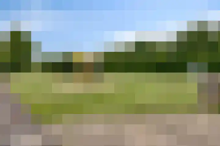 Kamille 12 Boxmeer thumbnail 39