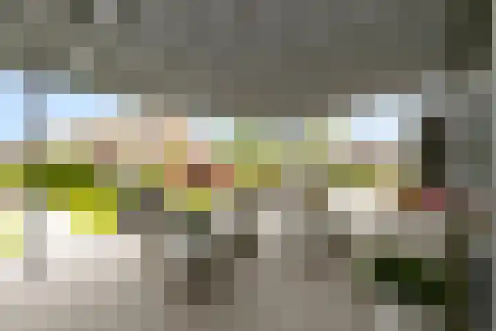 Kamille 12 Lelystad thumbnail 41