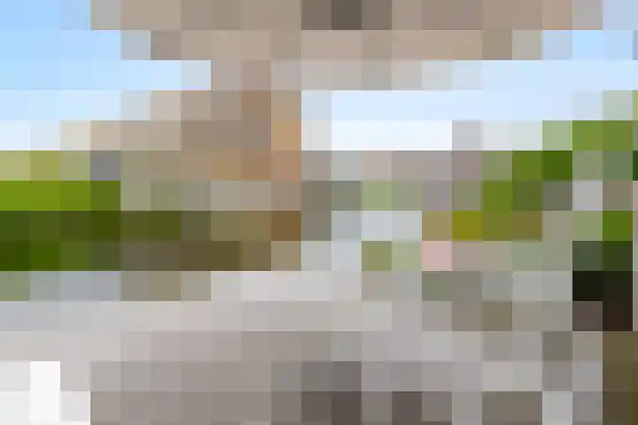 Kamille 12 Lelystad thumbnail 45
