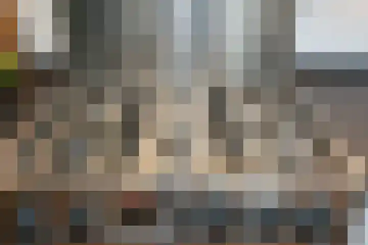 Kamille 13 Drachten thumbnail 13