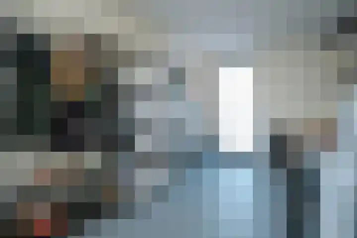Kamille 13 Drachten thumbnail 15