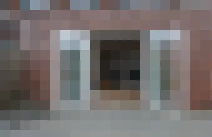 Kamille 13 Drachten thumbnail 37