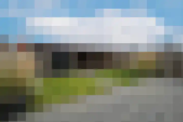 Kamille 13 Drachten thumbnail 38