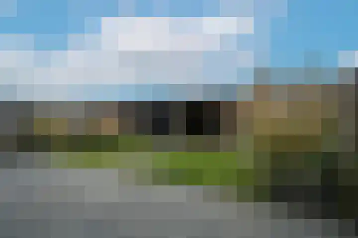 Kamille 13 Drachten thumbnail 41