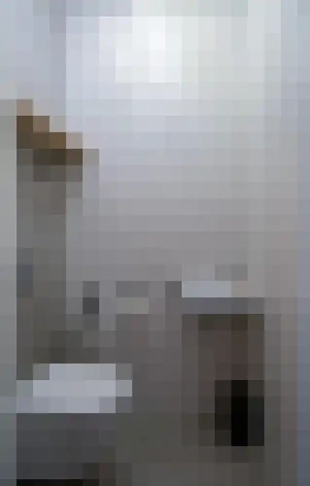 Kamille 13 Drachten thumbnail 6