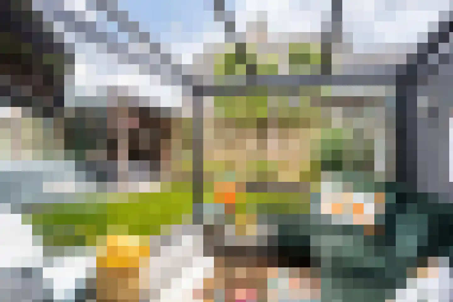 Kamille 13 Oldenzaal thumbnail 4