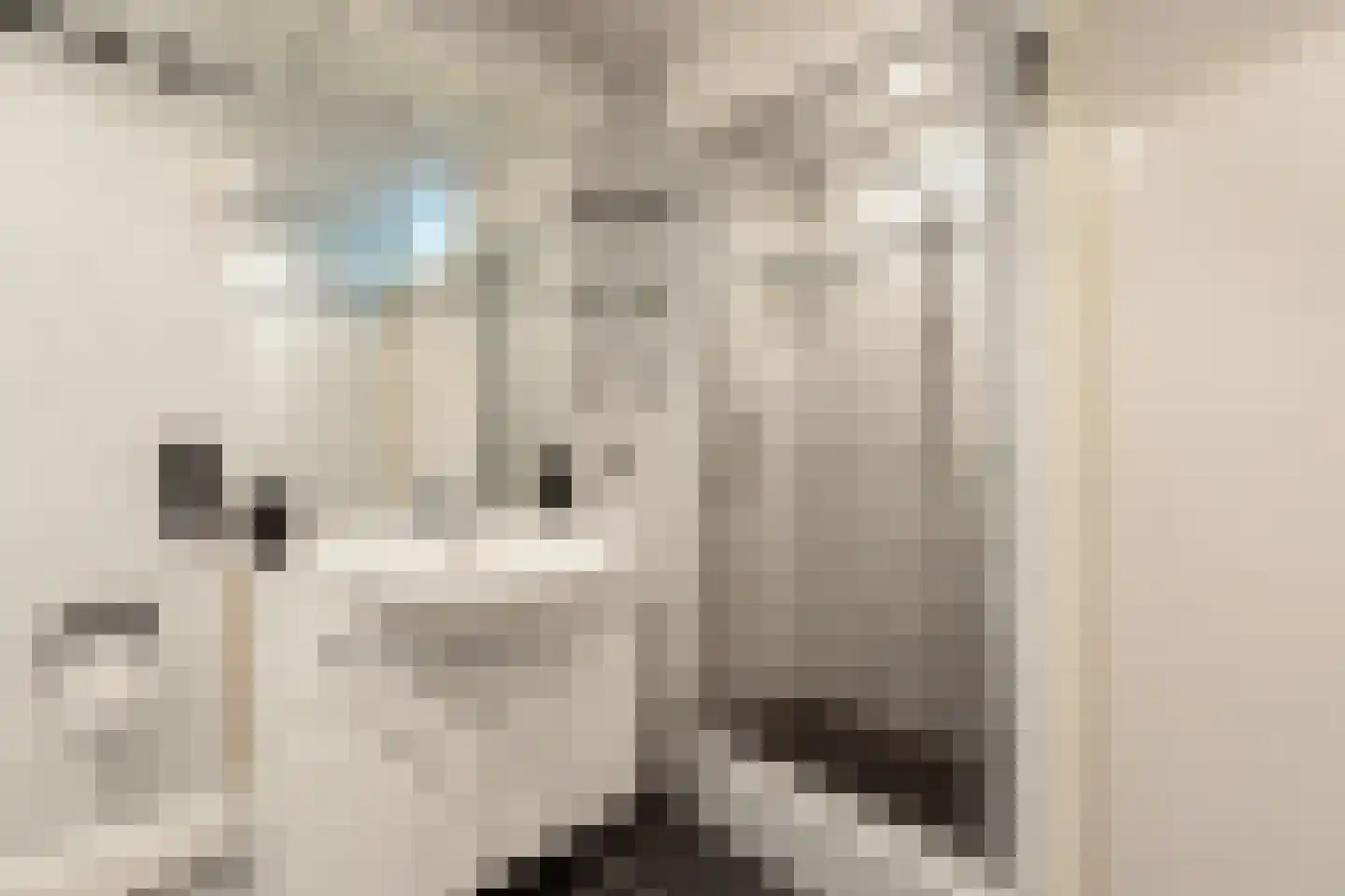Kamille 13 Sneek thumbnail 16