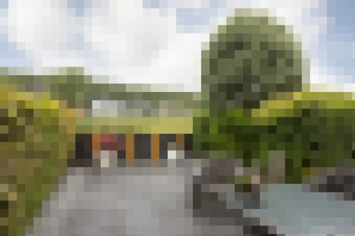 Kamille 13 Sneek thumbnail 22