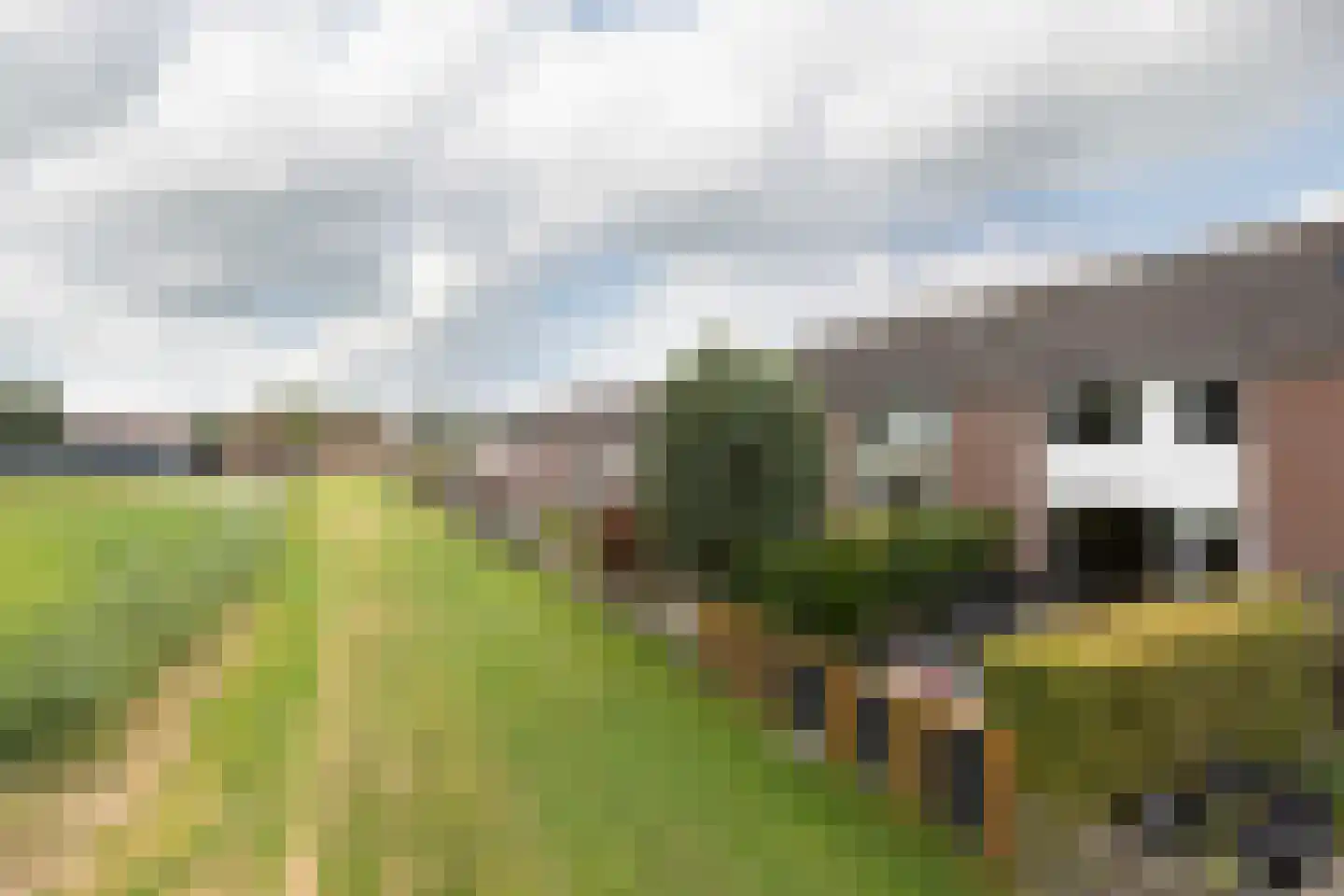 Kamille 13 Sneek thumbnail 25