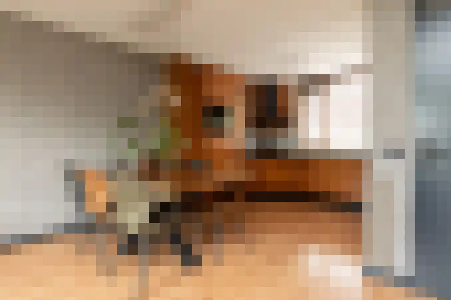 Kamille 13 Sneek thumbnail 6