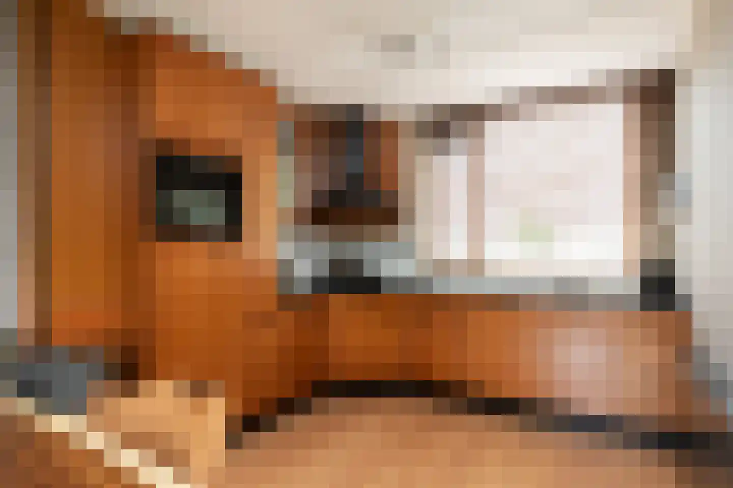 Kamille 13 Sneek thumbnail 7