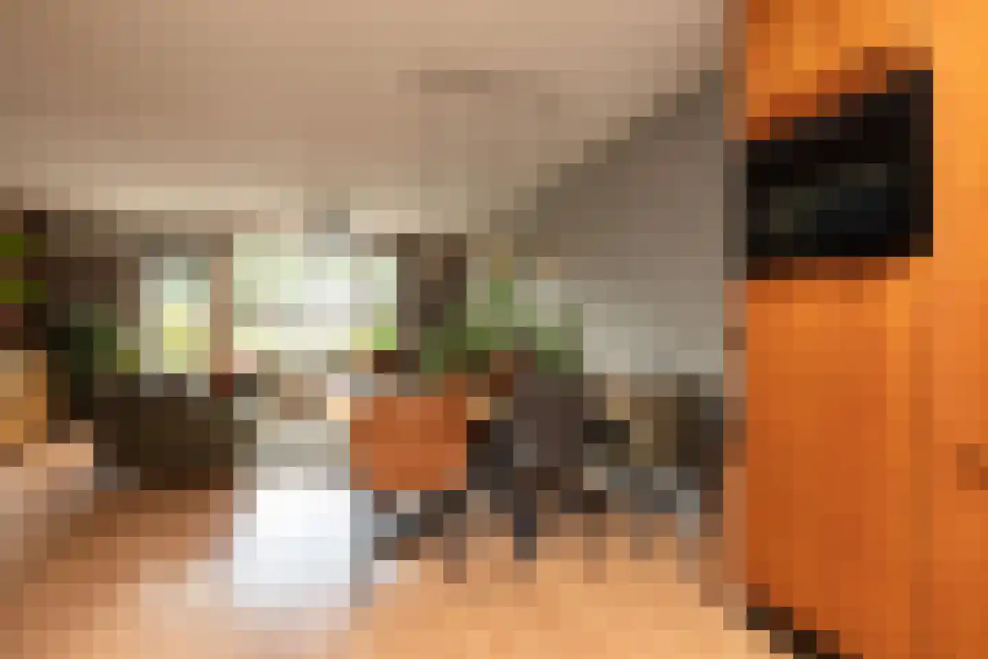 Kamille 13 Sneek thumbnail 8