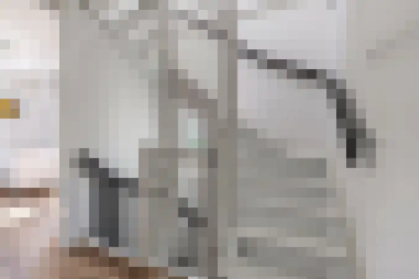 Kamille 14 Drachten thumbnail 32