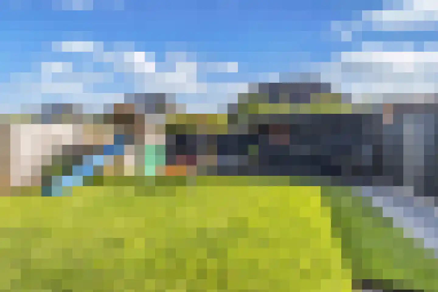 Kamille 14 Drachten thumbnail 37