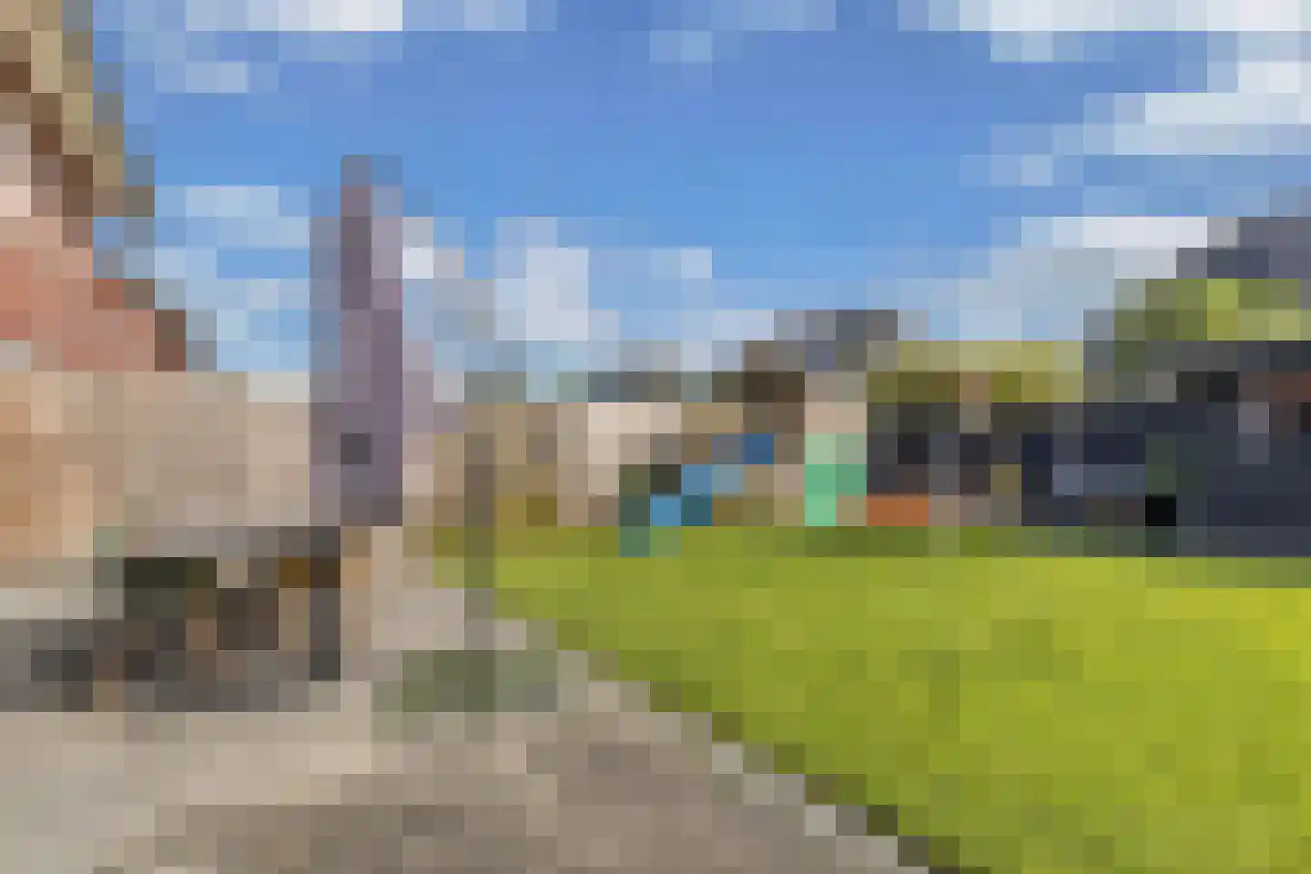 Kamille 14 Drachten thumbnail 38