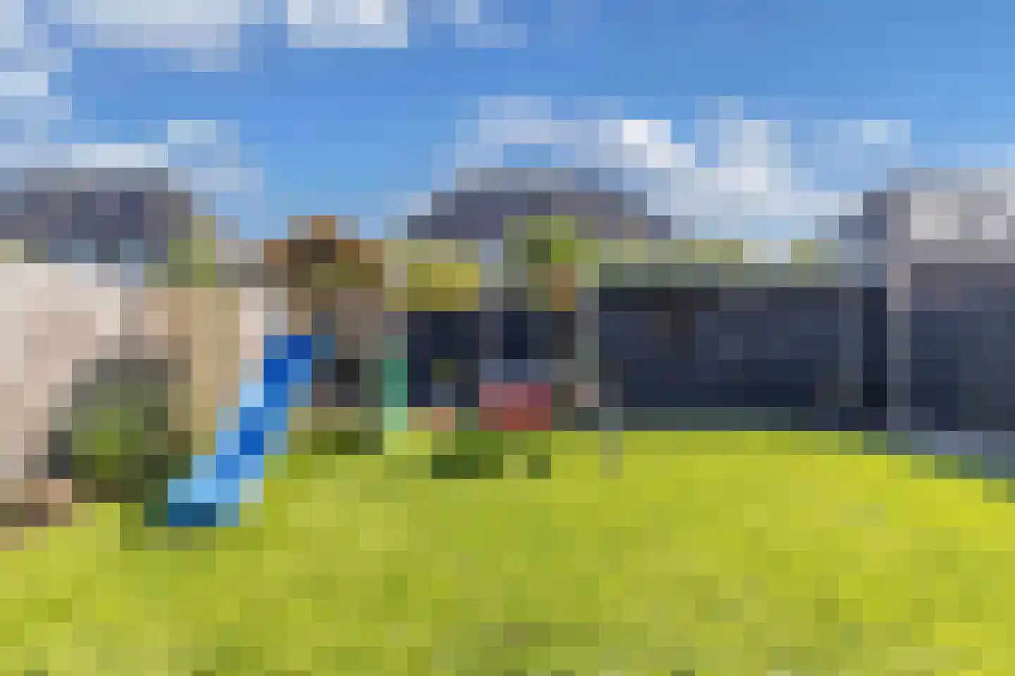 Kamille 14 Drachten thumbnail 39