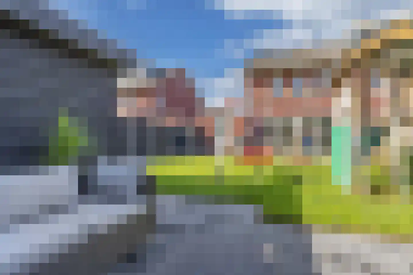 Kamille 14 Drachten thumbnail 42