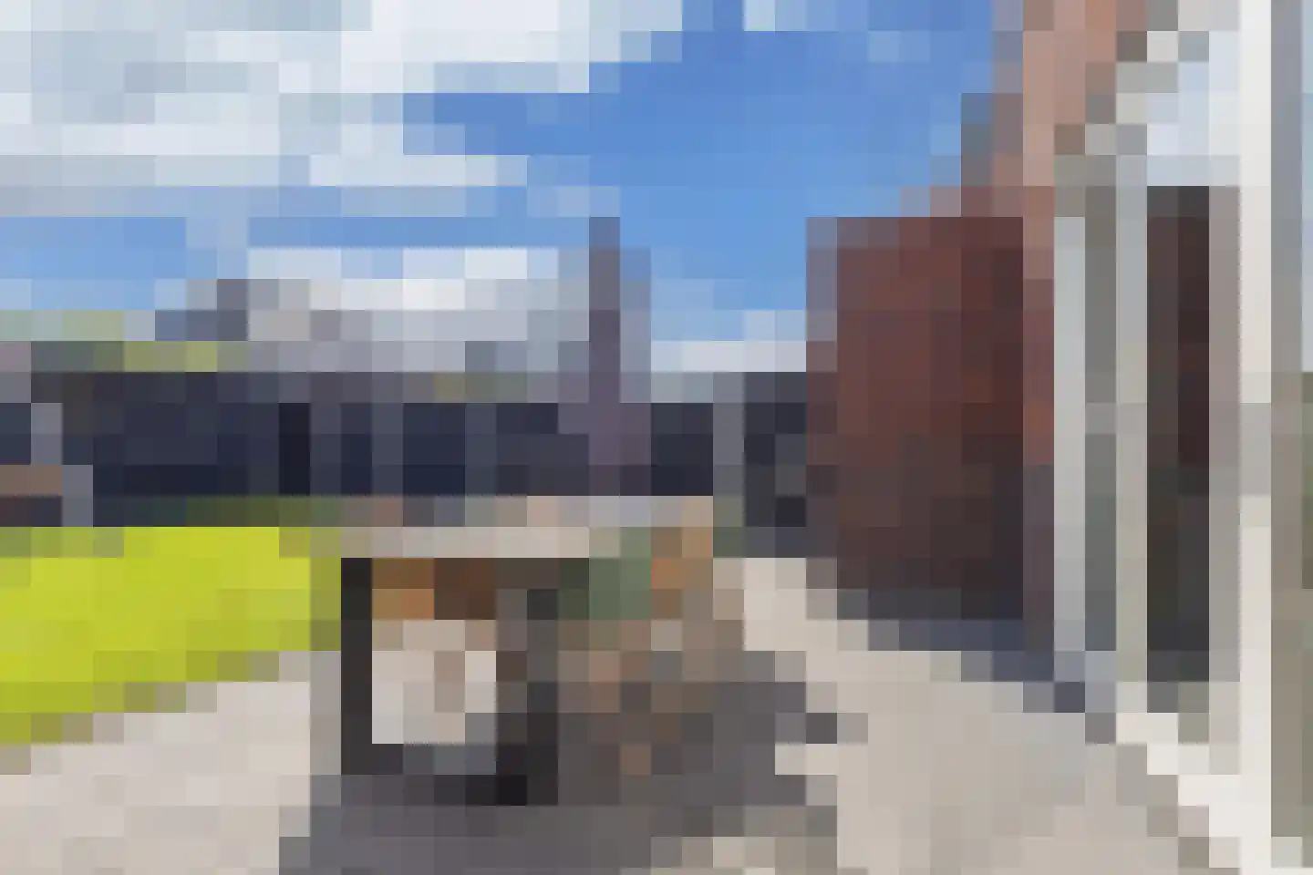 Kamille 14 Drachten thumbnail 44