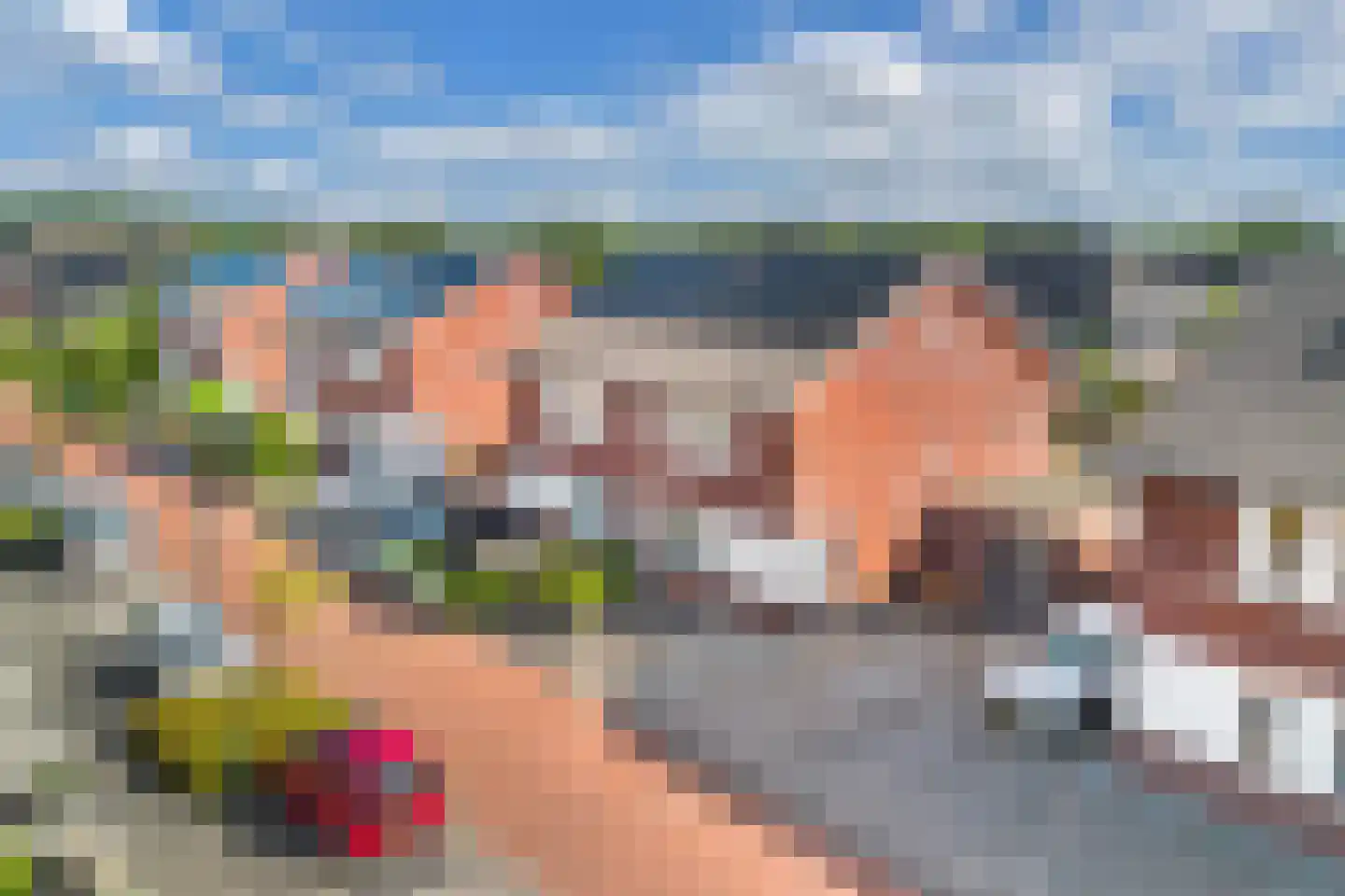 Kamille 14 Drachten thumbnail 49