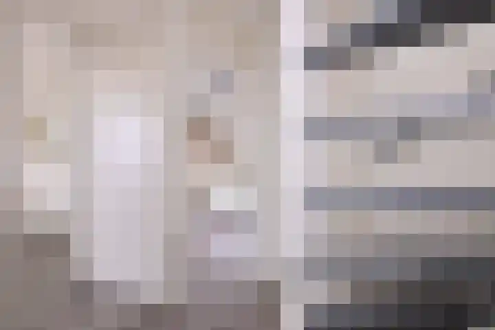 Kamille 15 Deventer thumbnail 18