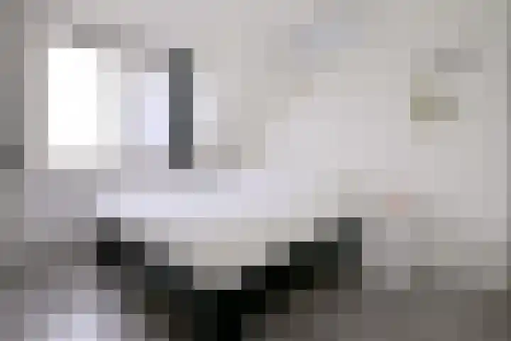 Kamille 15 Deventer thumbnail 19