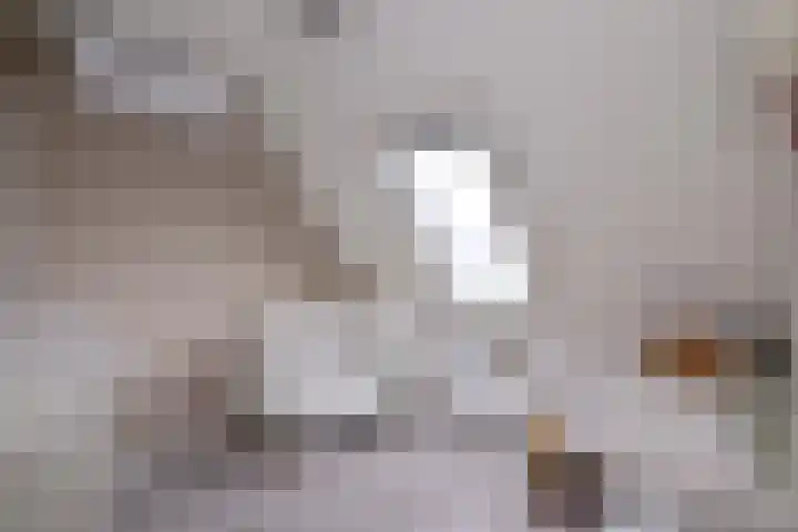 Kamille 15 Deventer thumbnail 22