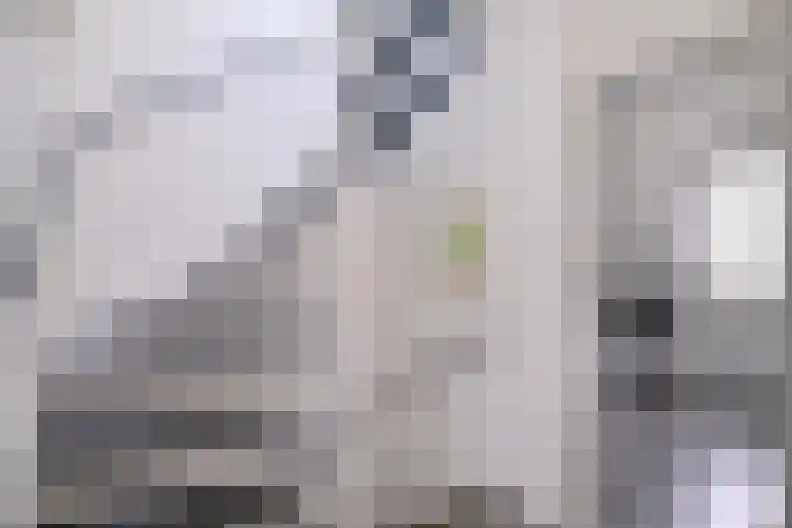 Kamille 15 Deventer thumbnail 25