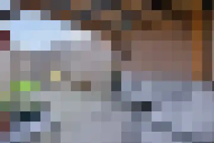 Kamille 15 Deventer thumbnail 35