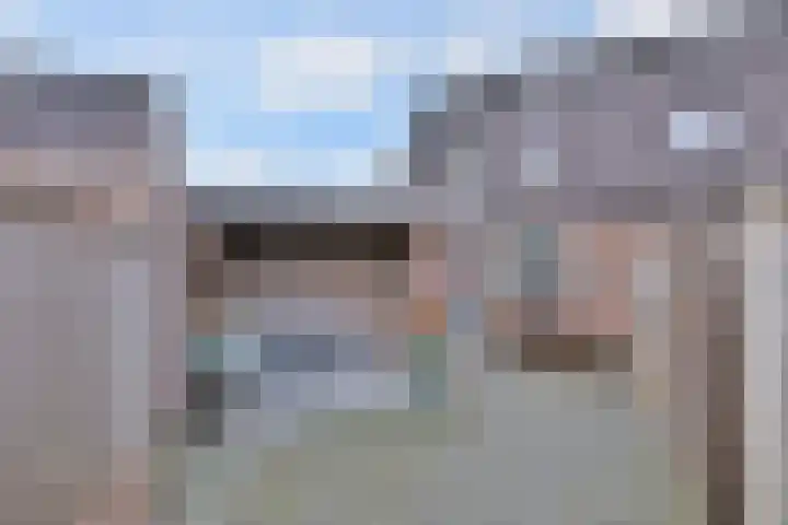 Kamille 15 Deventer thumbnail 37