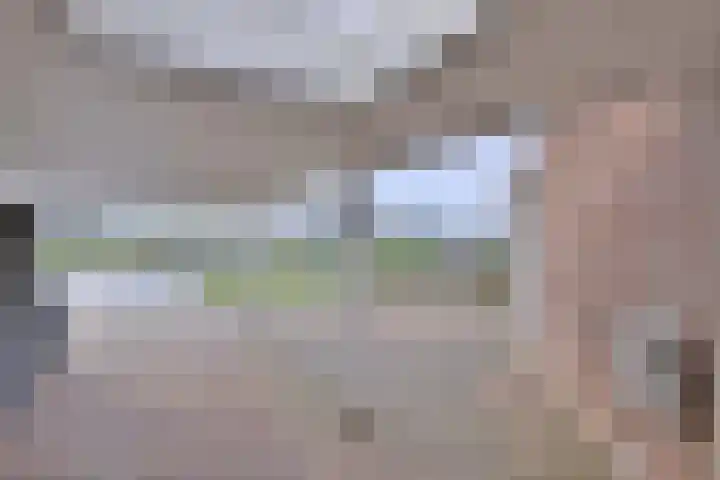 Kamille 15 Deventer thumbnail 38
