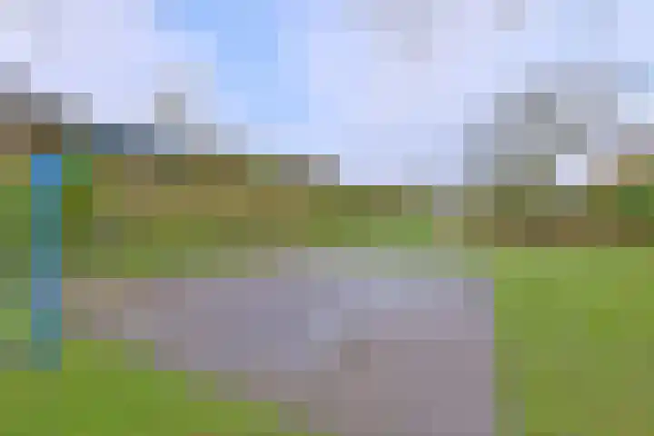 Kamille 15 Deventer thumbnail 41