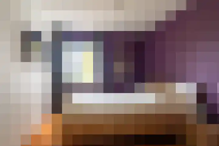 Kamille 15 Sprang-Capelle thumbnail 17