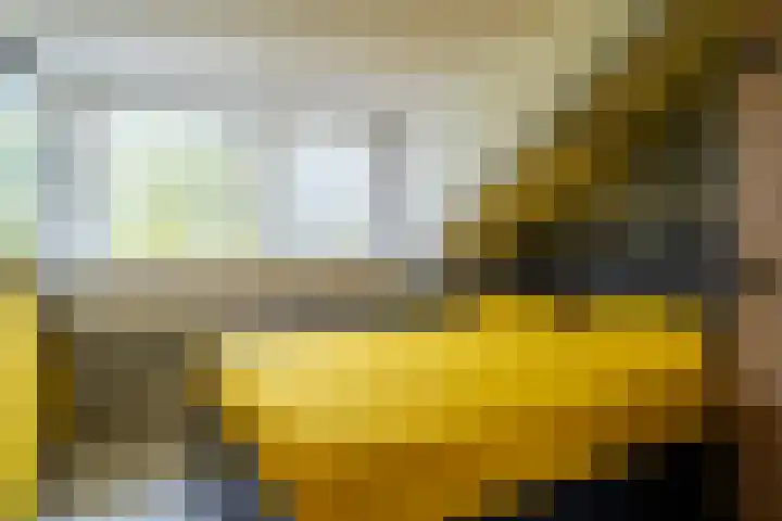 Kamille 15 Sprang-Capelle thumbnail 25