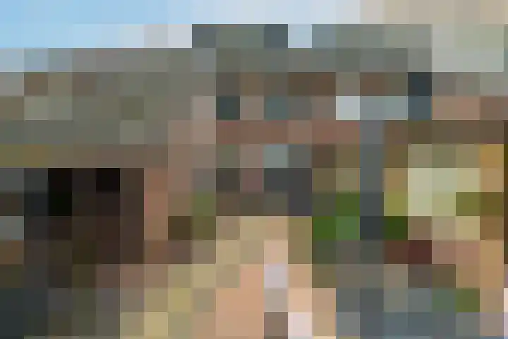 Kamille 15 Sprang-Capelle thumbnail 4