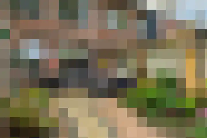 Kamille 15 Sprang-Capelle thumbnail 5