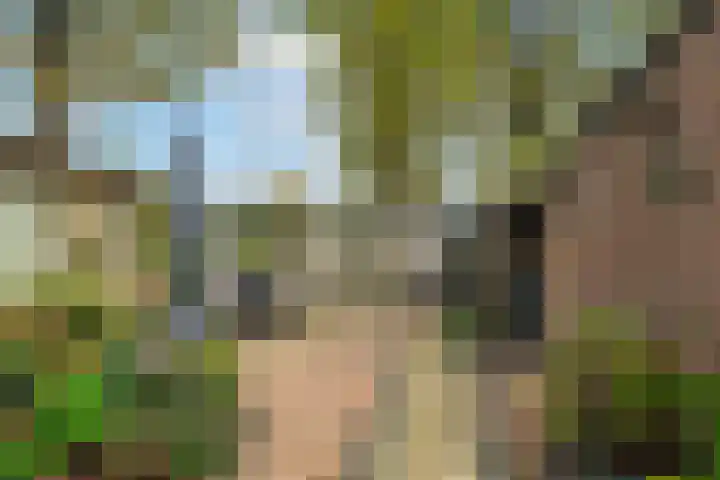 Kamille 15 Sprang-Capelle thumbnail 6