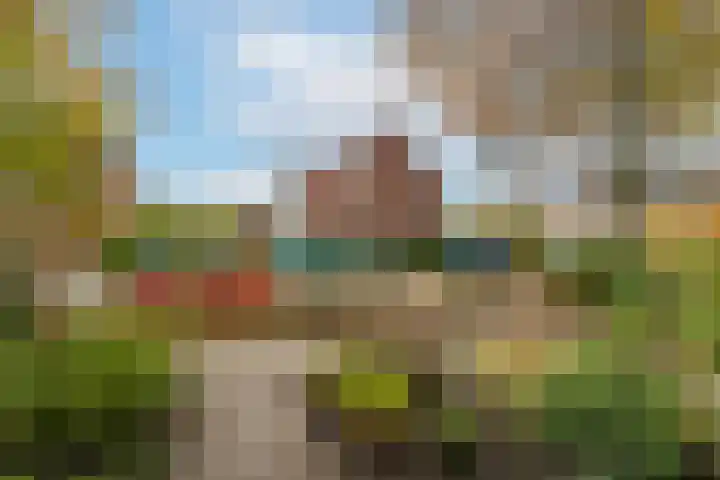 Kamille 15 Sprang-Capelle thumbnail 8